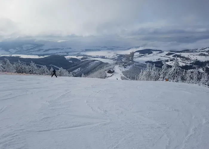 Depandance Marnet Sněžník Apartmán *