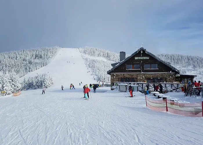 Depandance Marnet Sněžník Apartmán *